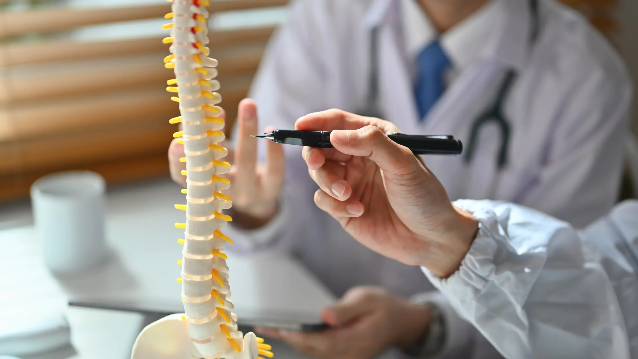 Chiropractic Patient Financing