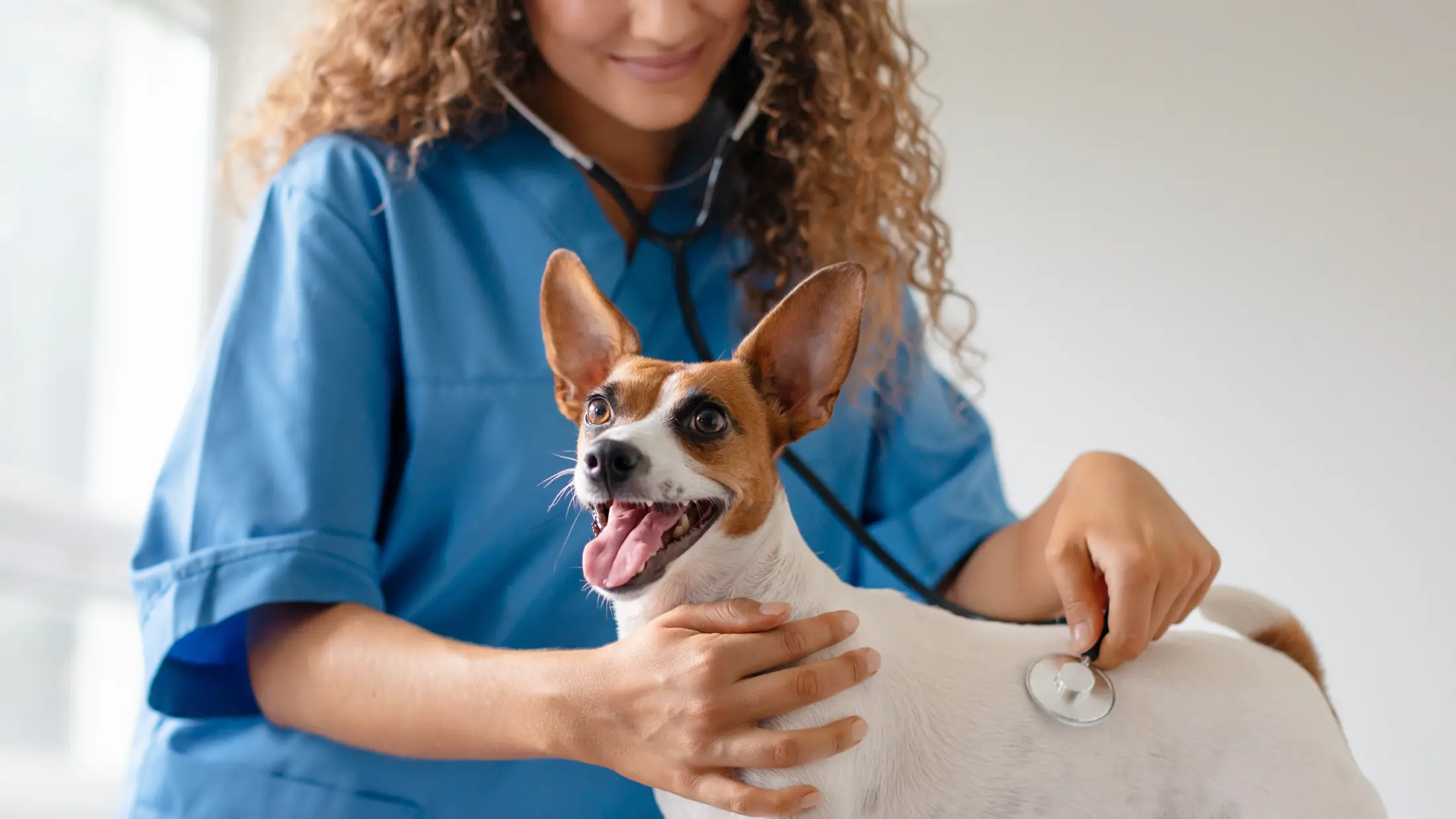 Veterinary & Pet Medical Care Financing