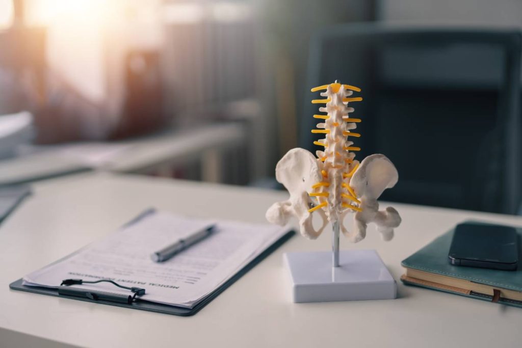 Chiropractor Salary Guide: How Much Do Chiropractors Make