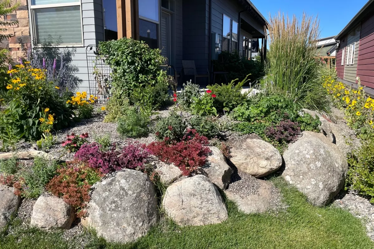 Simple landscaping on side of house