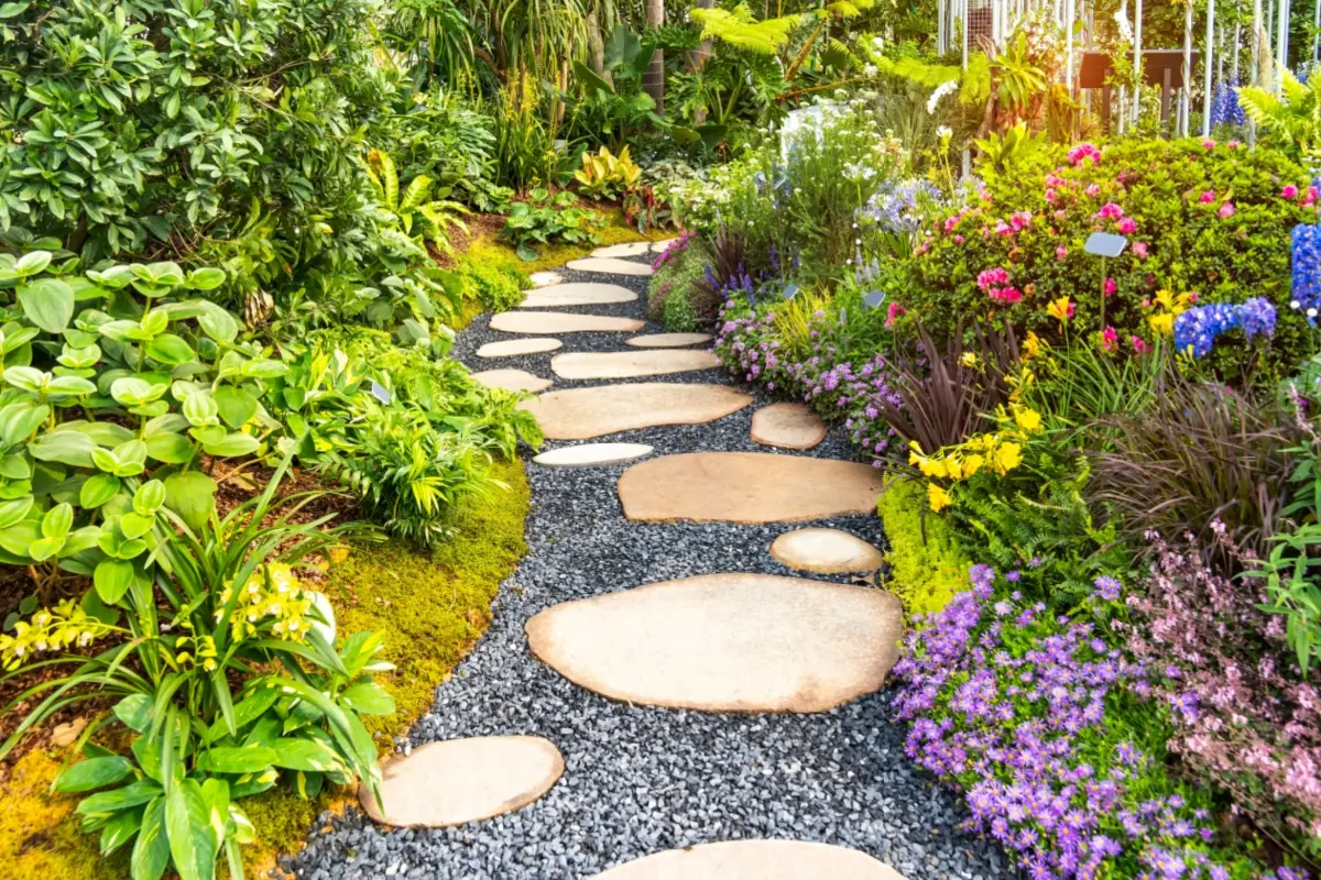 pathway through garden 