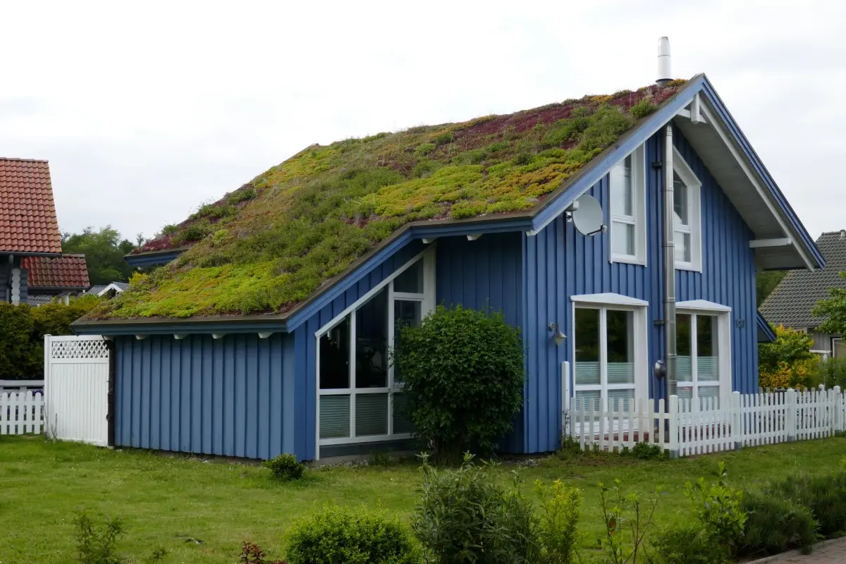 House with plants on roof