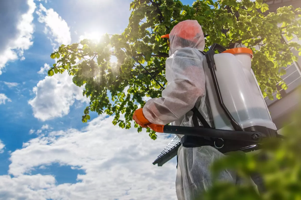 Agricultural pest control