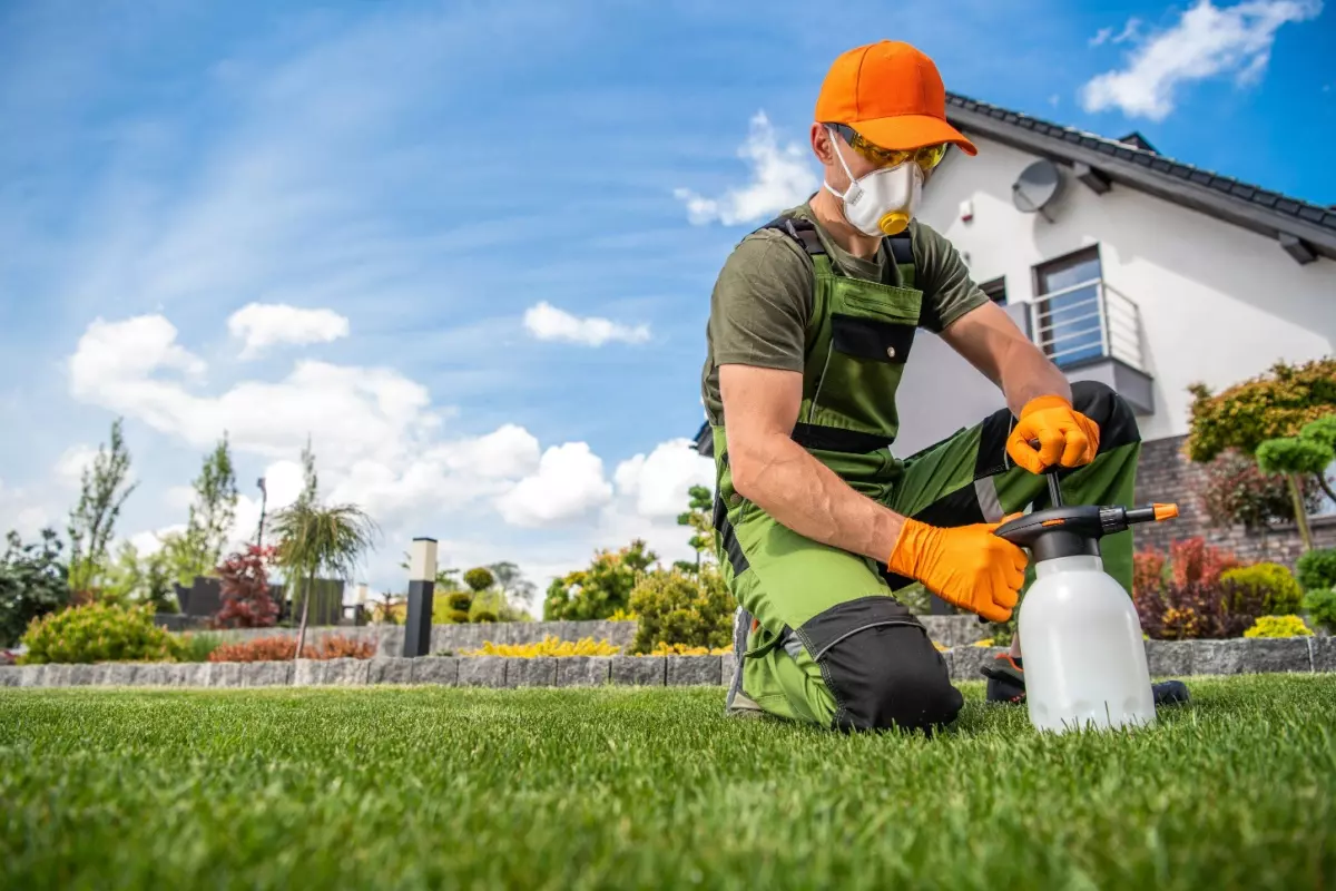 Pest control technician spraying for pests