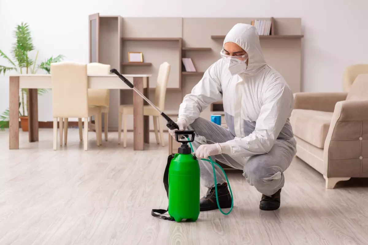 Pest control technician spraying inside house