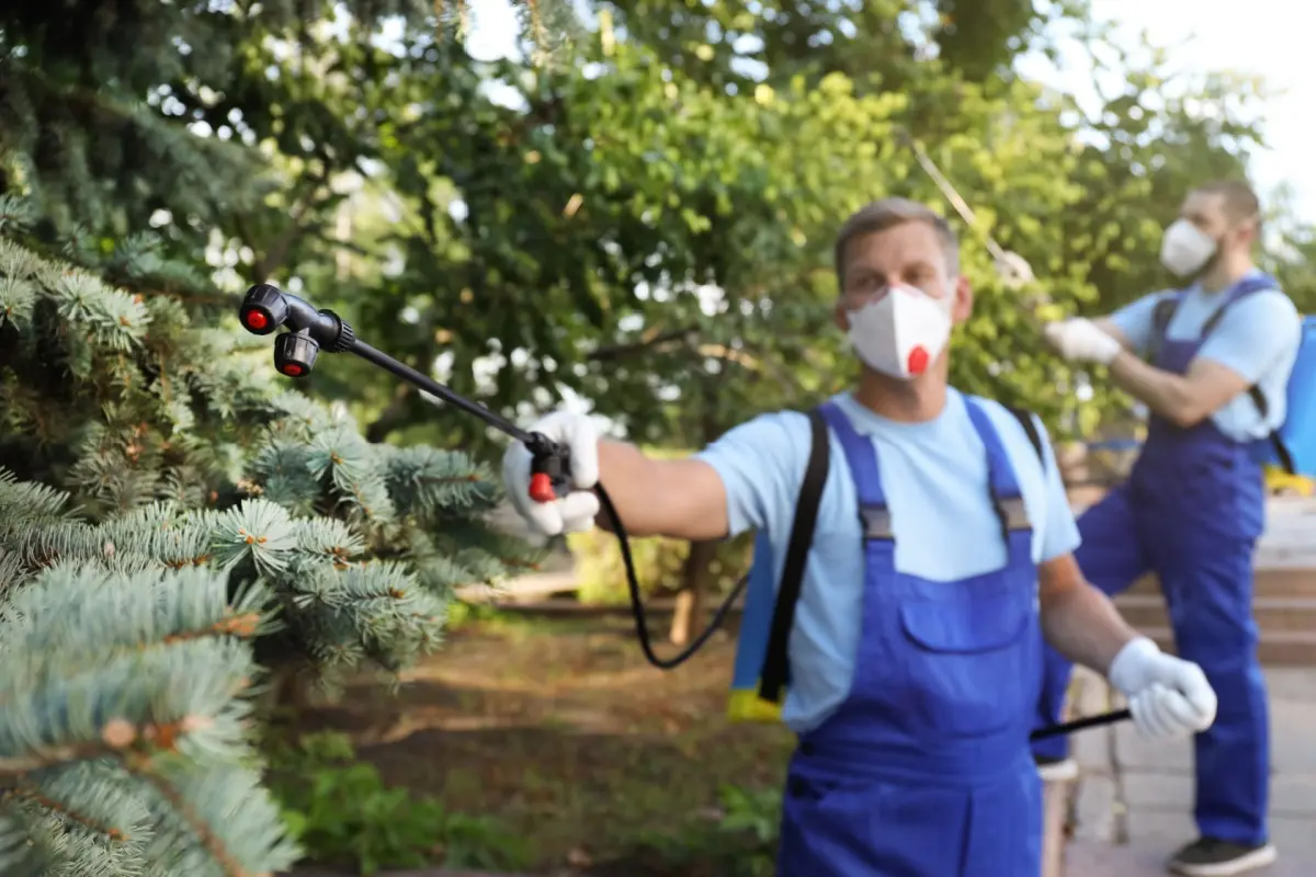 Professional pest control technician wearing protective gear.