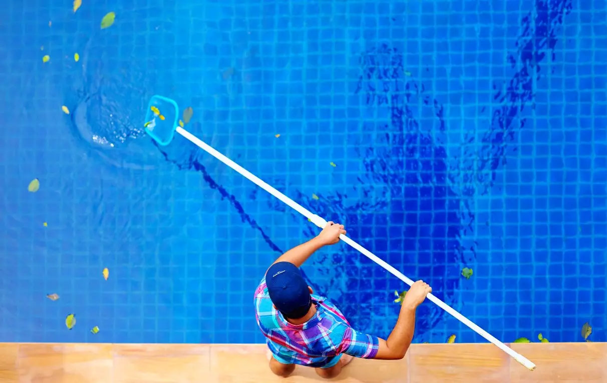 Overhead view of pool cleaner 