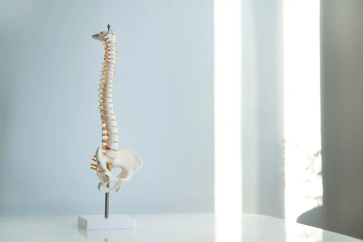 8 Steps to Building a Successful Chiropractic Practice